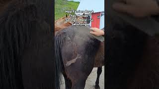 How Farriers Brush Their Horses  Spring is Here  So Satisfying foryou horse farrier asmr [upl. by Longawa47]