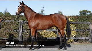 Lot 55  Russian Revolution AUS  Rosie Rocket AUS [upl. by Nostrebor]