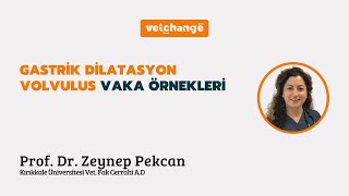 Gastrik Dilatasyon Volvulus Vaka Örnekleri Prof Dr Zeynep Pekcan [upl. by Attoynek]