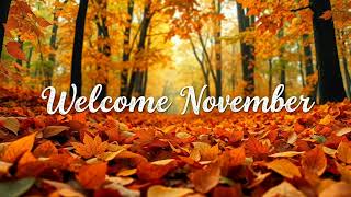 🍂🍁 Welcome November TV Art Screensaver  Cozy Leaves Background 🍂🍁 [upl. by Aekim]