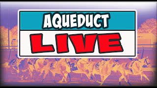 Aqueduct Live [upl. by Souza]