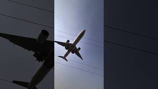 Airplane Landing 😍✨️ short shortvideo shortsfeed shorts airport airplane plane [upl. by Krantz]