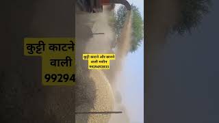 Shri Kisan agro engineering works ajitgarh कुट्टी काटने वाली और छानने वाली कुतर मशीन [upl. by Wharton]