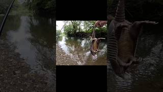 Marling Baits style fishing with my dog marlingbaits marlingbaits [upl. by Hurlee558]