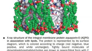 Lecture 21 CHEM2114 Significance of lipids in biological membranes [upl. by Aisnetroh]