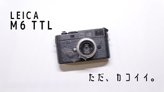 Leica M6 TTLについてまとめず話す [upl. by Esorlatsyrc885]