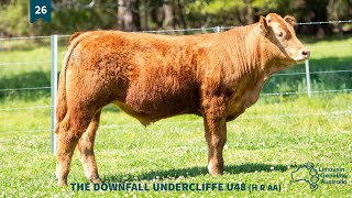 Lot 26  THE DOWNFALL UNDERCLIFFE U48 H R AA [upl. by Ahsyla]