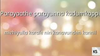 Kadum kappi karaoke with lyrics [upl. by Nwahsit961]