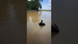 A cast net fishing traditional trap in the villageshorts [upl. by Nwahsyar]