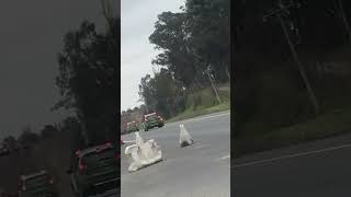 Impactante persecución a camión de gas robado en Maipú [upl. by Matt742]