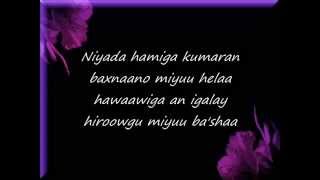 AHMED GAASHAANLE MASAAFO Somali Lyrics Song Heestii  Codkii  Ahmed A Gaashaanle [upl. by Anika817]