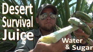 Survival Desert Sugar Water Yucca Juice [upl. by Colby150]