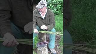 Part 1  Making Natural Cordage From Stinging Nettles  shorts [upl. by Adnilav496]