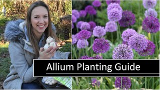 Allium Planting Guide  How to Plant Grow and Care for Allium Flowers  Northlawn Flower Farm [upl. by Lazes645]