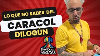 Lo Que No Sabes Del CARACOL DILOGUN [upl. by Denoting206]