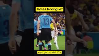 James Rodríguez Mejor GOL del mundial 2014 futbol jamesrodriguez puskasaward seleccióncolombia [upl. by Haelat755]