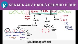 Obat HIV   HIV Part 2 [upl. by Ailla]