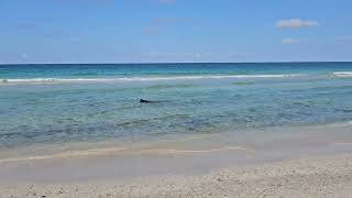 CUBA  Guanabo beach right on our doorstep December 2023 [upl. by Lurlene]