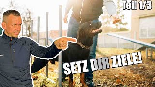 Für ERFOLG braucht man KLARE ZIELE  Ziele setzen 13 [upl. by Miko]