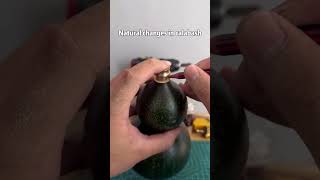 Natural changes in calabashgourd bottlegourd manual foryoupage  craft youtubeshorts funny [upl. by Flanders808]