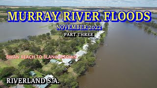 Murray River Floods 2022  Part Three  Swan Reach to Blanchetown [upl. by Crary]