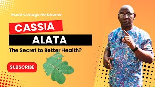 Is Cassia Alata the Secret to Better Health Lets Find Out [upl. by Anhcar]