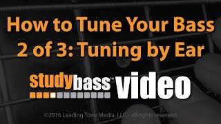 How to Tune Your Bass Pt 2 Tuning By Ear  StudyBass [upl. by Oicaro]