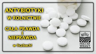 ANTYBIOTYKI w ROLNICTWIE  CAŁA PRAWDA I NIEPRAWDA  HEKTAR WIEDZY [upl. by Tierell]