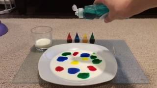 Magic milk experiment colours diy fun activity science [upl. by Lainahtan149]