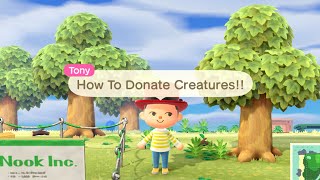 Animal Crossing New Horizons How To Donate Creatures And Unlock The Museum How To Get The DIY AXE [upl. by Manton]