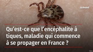 Qu’estce que l’encéphalite à tiques maladie qui commence à se propager en France [upl. by Tenrag]