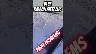 Tundra Paint Problems toyota tundra athenasgarage paintproblem [upl. by Carlile]