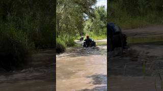 Sportsman 1000 getting it done polaris peacerivercampground waterwheelie [upl. by Nosahc]