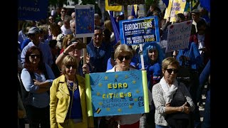 IN PICS The best protest signs from Madrid’s antiBrexit march [upl. by Kcirtapnaes]