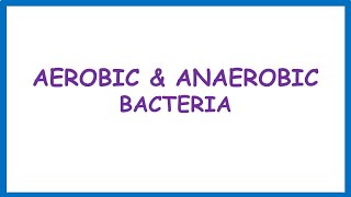 Aerobic amp Anaerobic Bacteria Lecture [upl. by Serle]