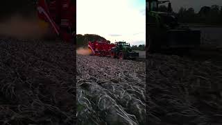 kartoffeln ernte harvest grimme knollen potato potatoe farming fendt 930 936 chips [upl. by Ecyla]