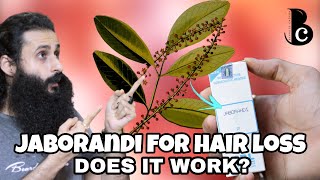 Jaborandi  A Natural Treatment For Hair Loss Balding amp Hair Growth  Bearded Chorka [upl. by Cece794]