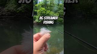 Fishing Jig Streamers on a euro nymphing set up in summer [upl. by Chaddie]