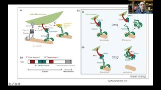 Bioenergetics and Brain Health 2 Mitochondrial Dynamics Biogenesis Disposal and Signaling [upl. by Jutta]