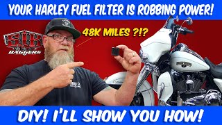 ⚡Change Your Harley Davidson Fuel Filter Like A Pro⚡ [upl. by Leirbaj]