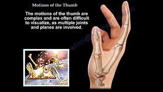 Motions Of The Thumb  Everything You Need To Know  Dr Nabil Ebraheim [upl. by Seta]