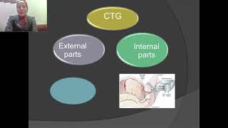 Auscultation of the fetal heart rate PinardCTG [upl. by Lanni]