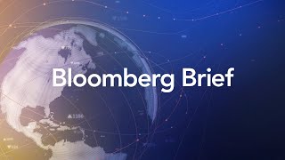 Bloomberg Brief 11042024 [upl. by Godrich]