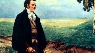 Franz Schubert Натан Рахлин Symphony No8 Unfinished [upl. by Lenor]