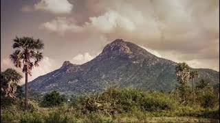 Sri Arunagiri Charitable Trust Tiruvannamalai [upl. by Bozovich]