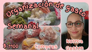 ✅ ORGANIZACION DE GASTO SEMANAL  1100 Compras para todas las comidas ☺️ menúsemanal [upl. by Territus]