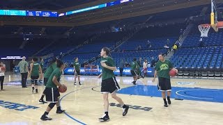 Rainbow Wahine plan to return to the NCAAs [upl. by Fishbein]