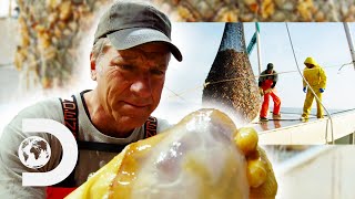 Mike Rowe Goes Jellyfish Fishing  Dirty Jobs [upl. by Chaing]