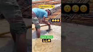 Incredible Hard Work  Farmers Life  Best Jute Retting Techniques shorts farming farmlife [upl. by Mandler]