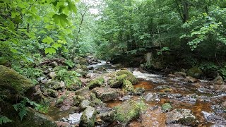 Hiking  Nationalpark Harz  Im Ilsetal 4K60 POV [upl. by Cecelia901]